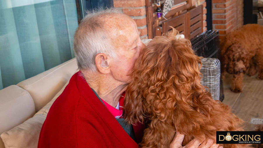 Grandfather kissing his dog