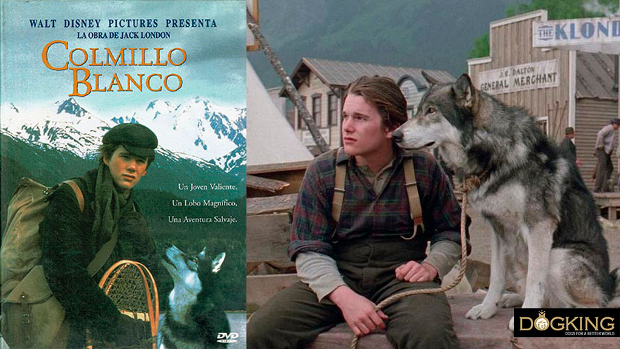 Immagine di copertina e film di White Fang