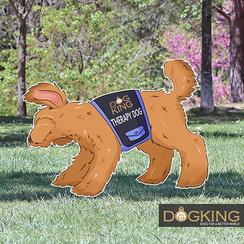Postura lenguaje corporal perros panza arribaPostura lenguaje corporal perros sacudirse