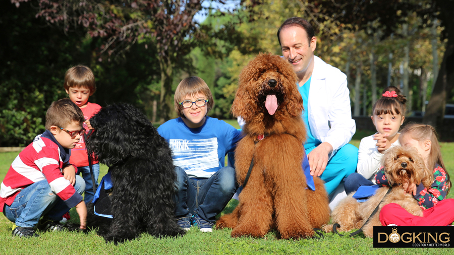  children with needs in a park, smiling with an Australian Cobberdog.