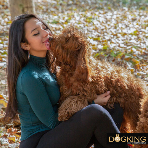 Dog giving licks to a person who responds with a smiling and friendly expression.