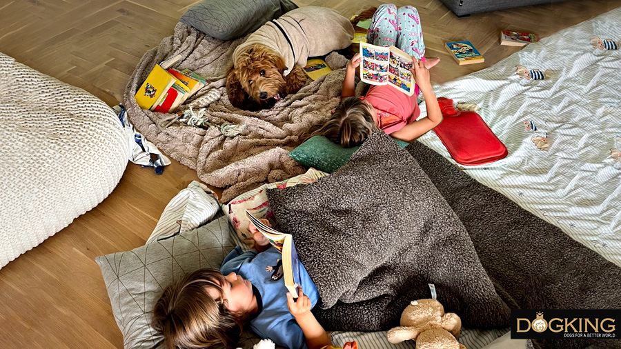 Niños leyendo estirados en el suelo de su casa junto con un Australian Cobberdog que disfruta de su compañía. 