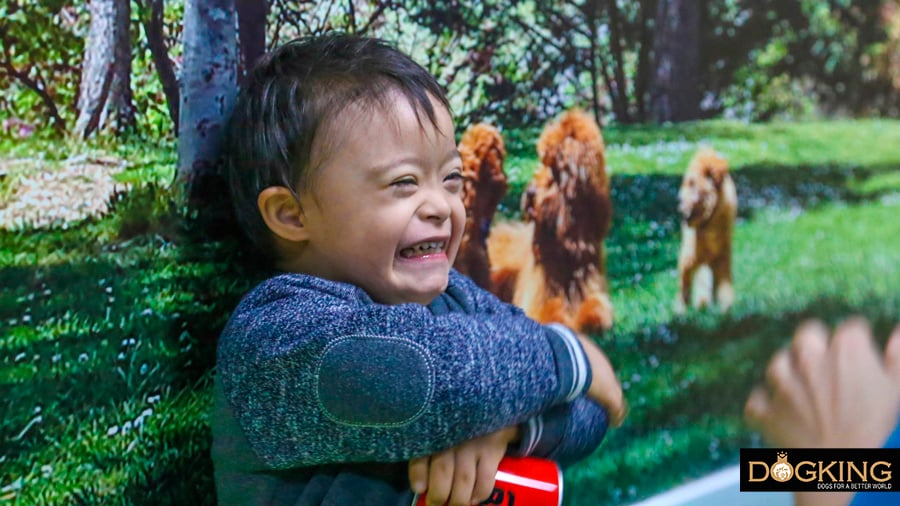 Niño feliz de compartir una sesión con un Australian Cobberdog