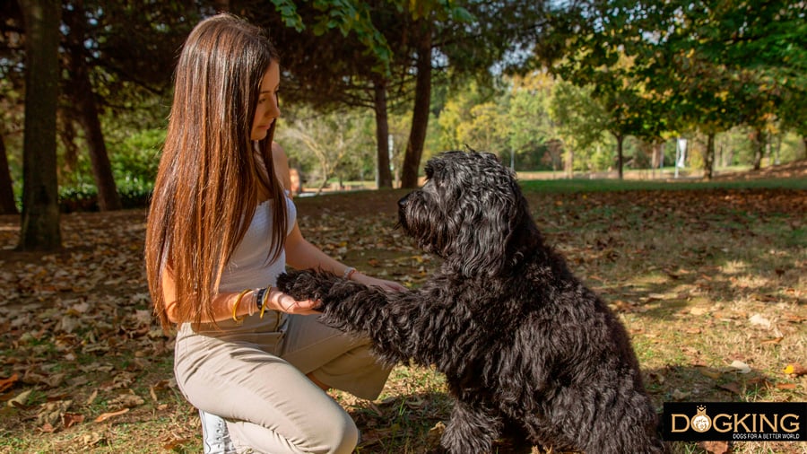 persona y perro haciendo un gesto de perdonar