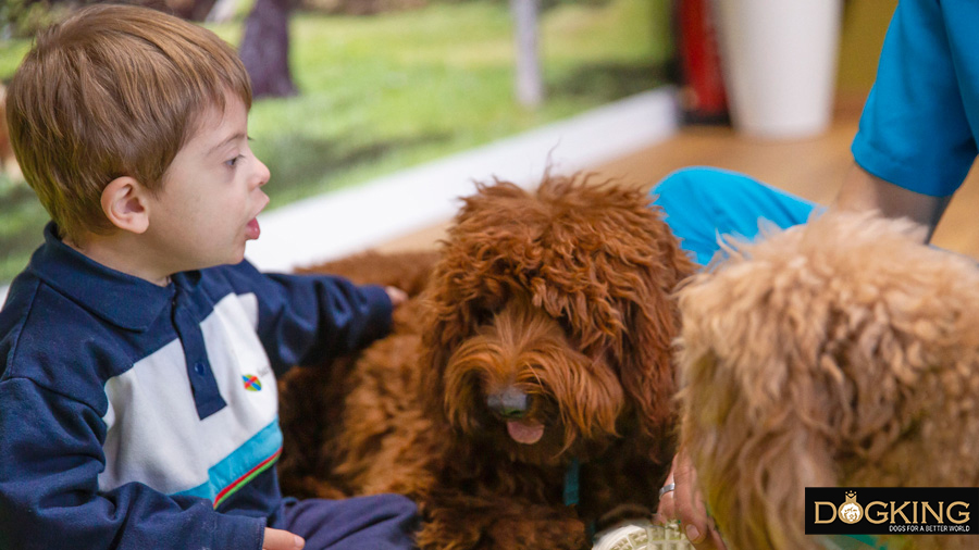 Intervention technician making a child smile with an Australian Cobberdog.