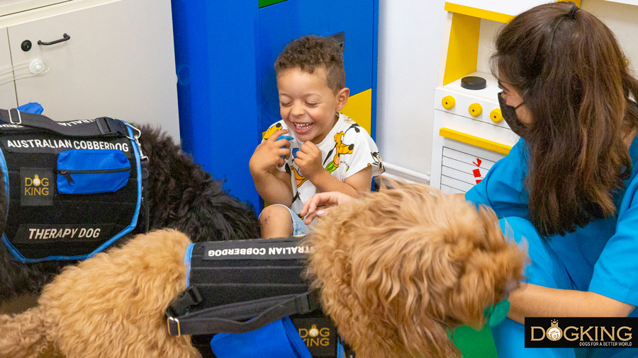 Our therapy dogs attending one of the sessions.