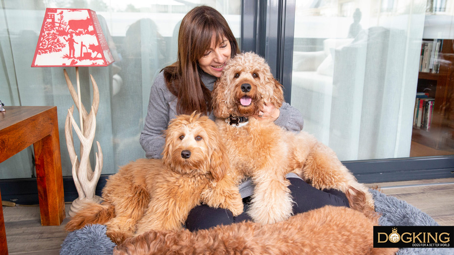 woman resting peacefully with her dogs.