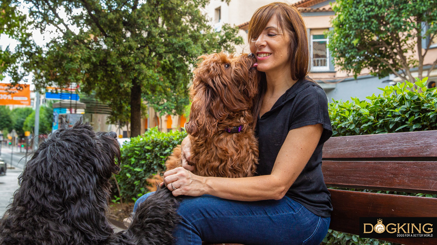 Mujer descansando tranquila mente con sus perros