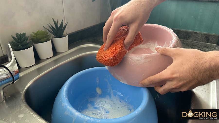 Washing my dog's food bowls