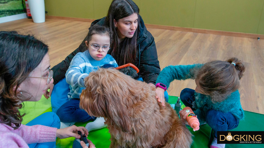 Xiquets tocant el mantell suau d'un Australian Cobberdog.