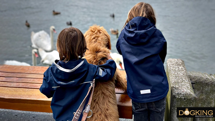 children sharing quality time with their faithful friend.