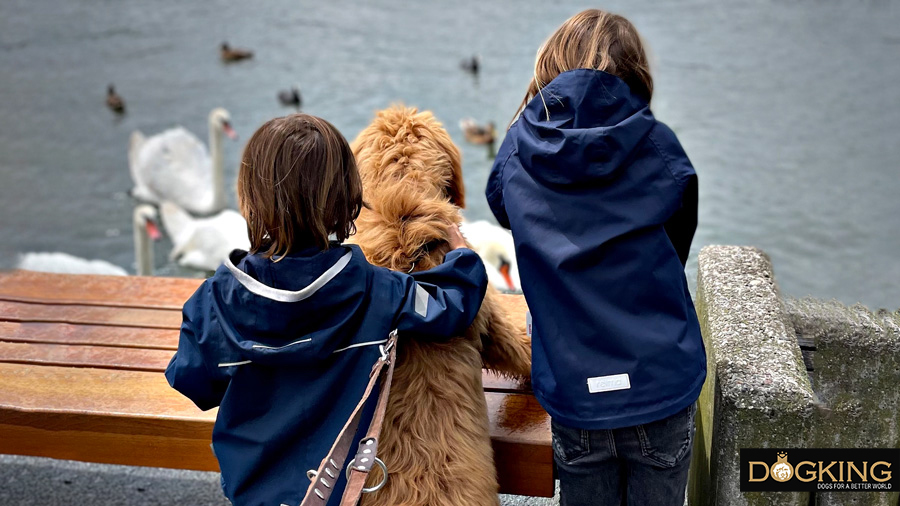 Niños compartiendo tiempo de calidad con su fiel amigo.