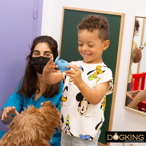 Australian Cobberdog accompanying a child on his session