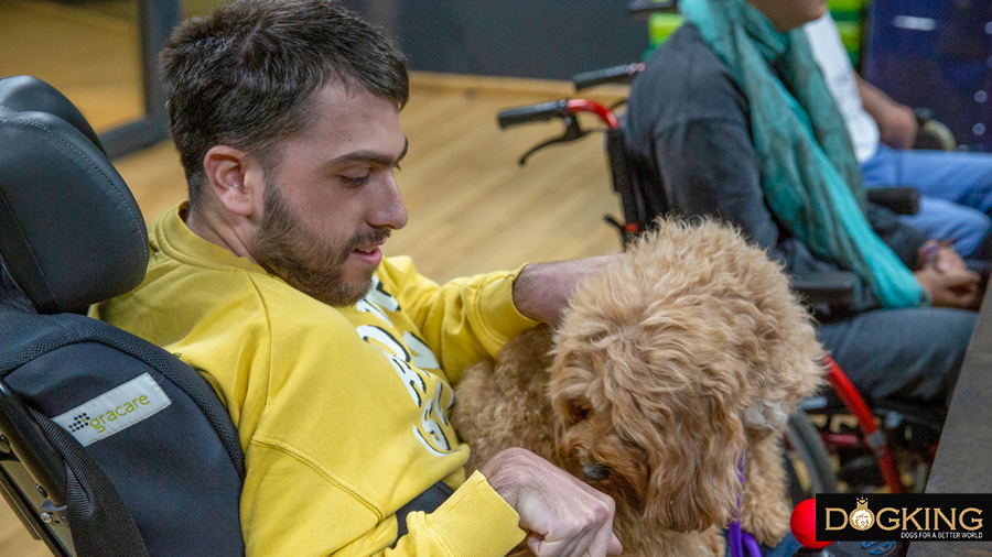 Assistance dog with his master