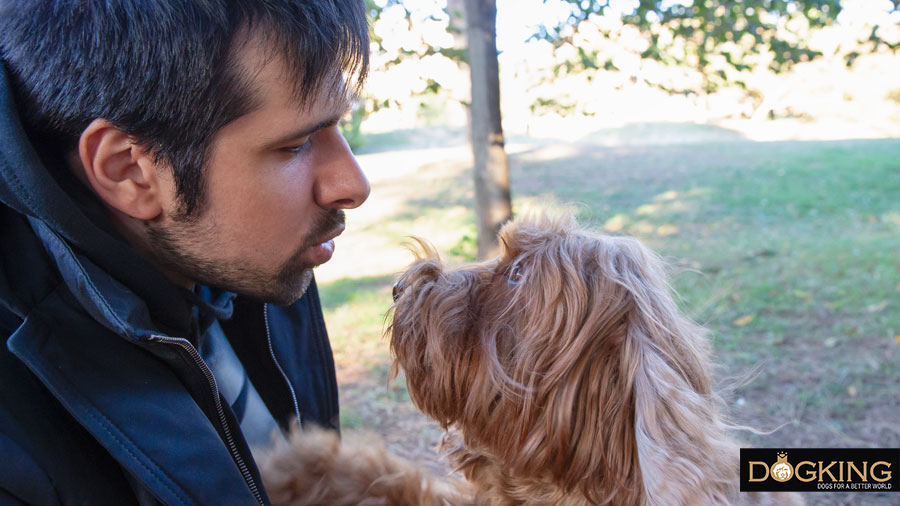 Persona soplándole la cara a un perro