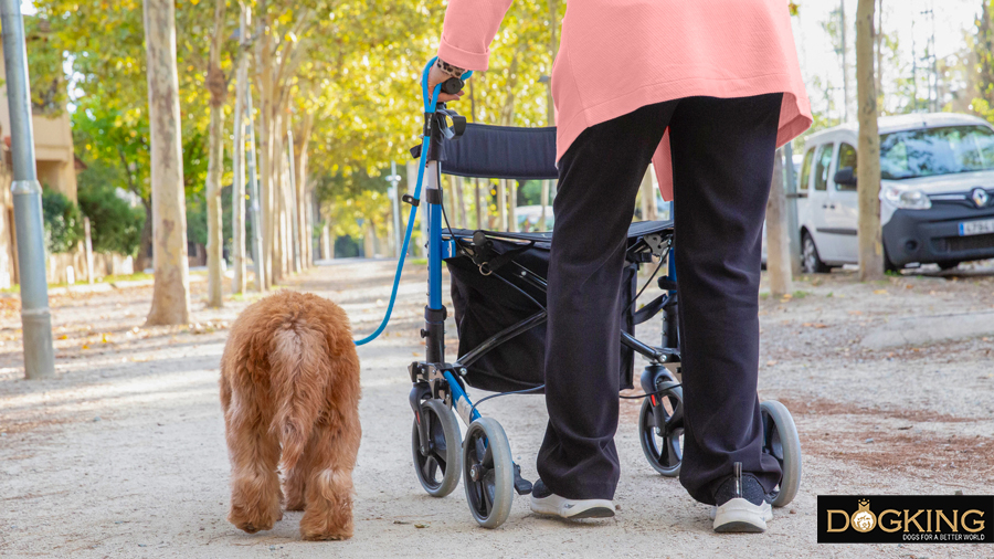 Grandmother walking down the street with her dog 