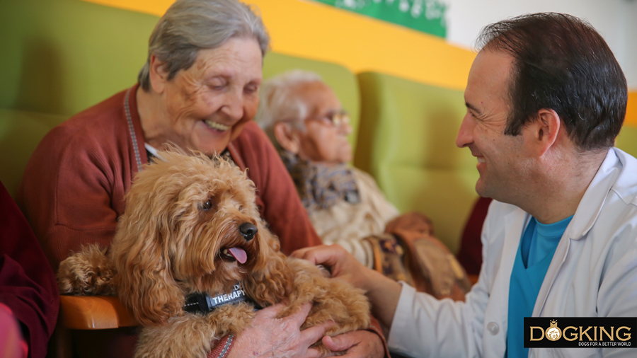 Terapia con perros a personas mayores 