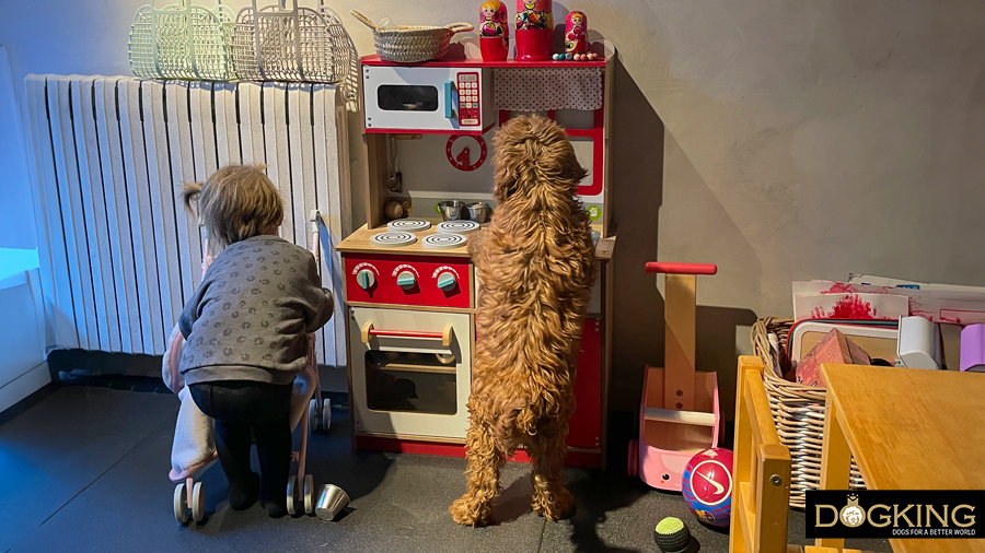 Niño jugando con su cachorro 
