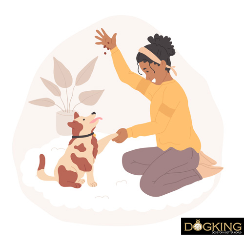 Person, die mit ihrem Hund spielt