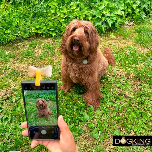 Clip selfie avec friandises pour chiens