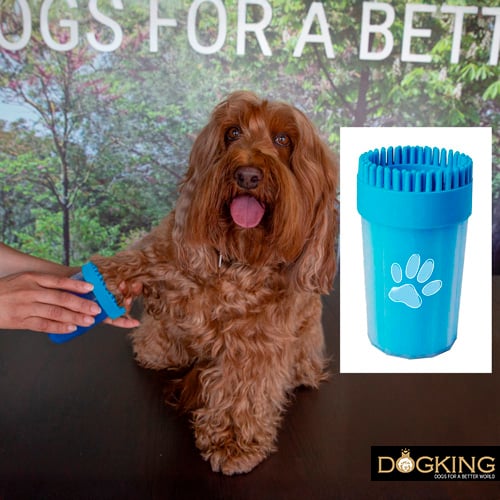 Nettoyeur de pattes pour chien