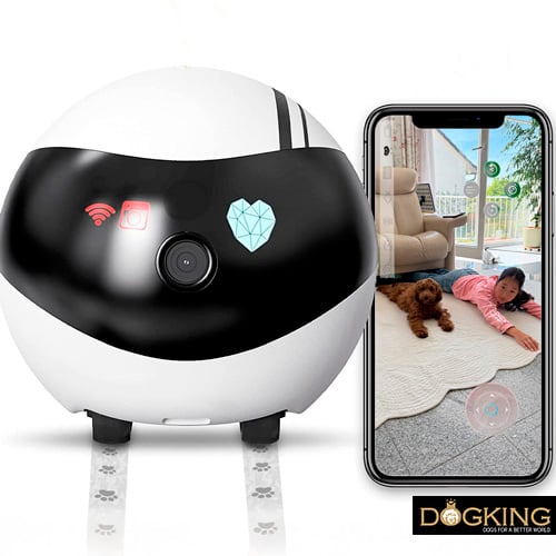Jouet interactif pour chiens