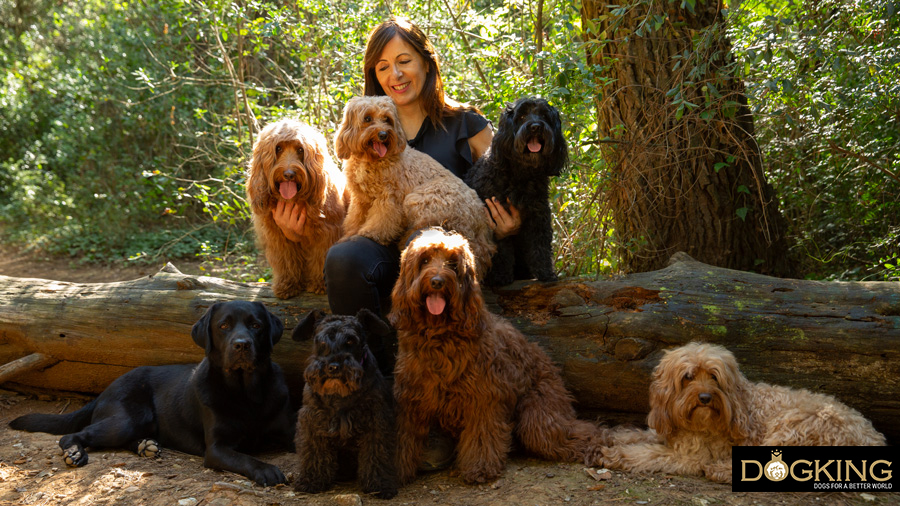 Many dogs with their owner