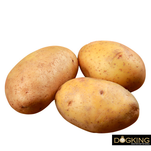 Pomme de terre