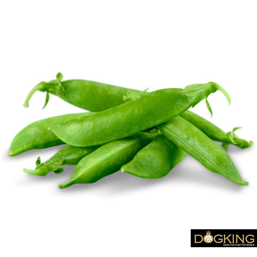 Haricots verts
