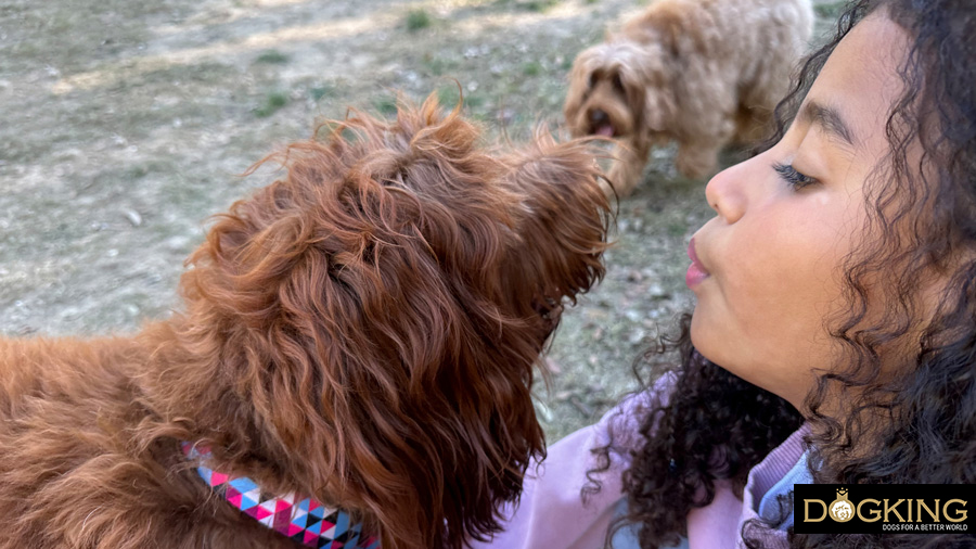Persona soplando la cara de un perro 