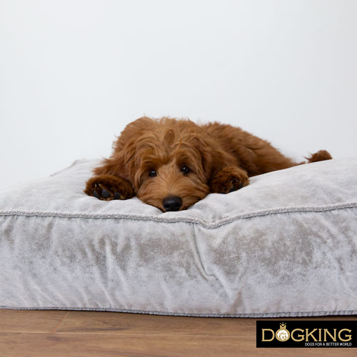 Dog beds depending on the material used.