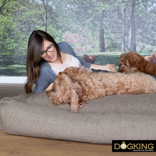Dog beds by shape and design.