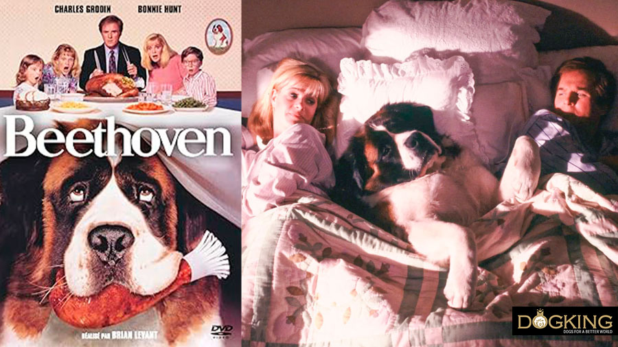 Immagine di copertina e film di Beethoven
