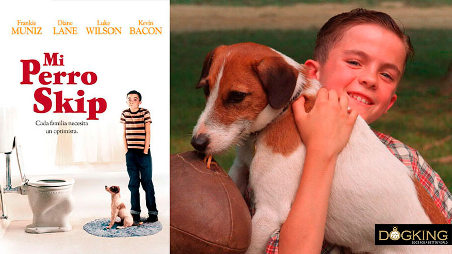 Immagine di copertina e film di My Dog Skip