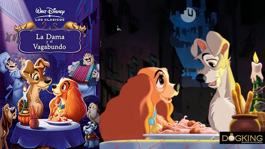 Immagine di copertina e film di Lilli e il vagabondo