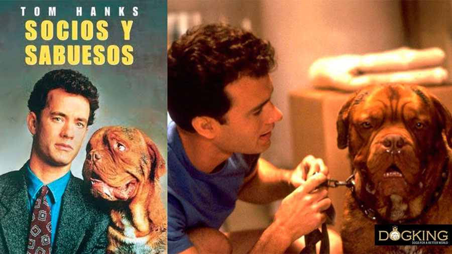 Immagine di copertina e film di L'amore non va a canestro
