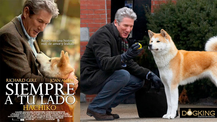 Immagine di copertina e film di Hachiko 