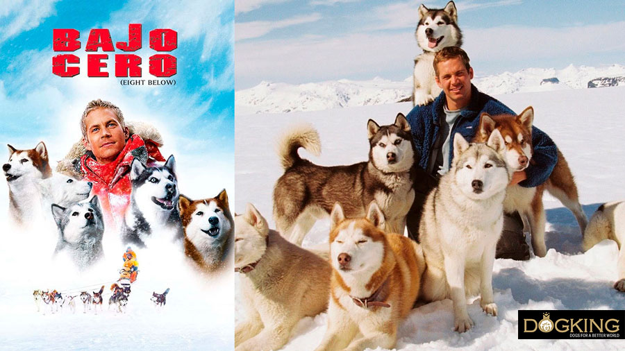 Immagine di copertina e film di Below Zero