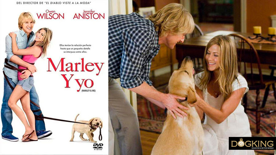 Immagine di copertina e film di Marley & Me