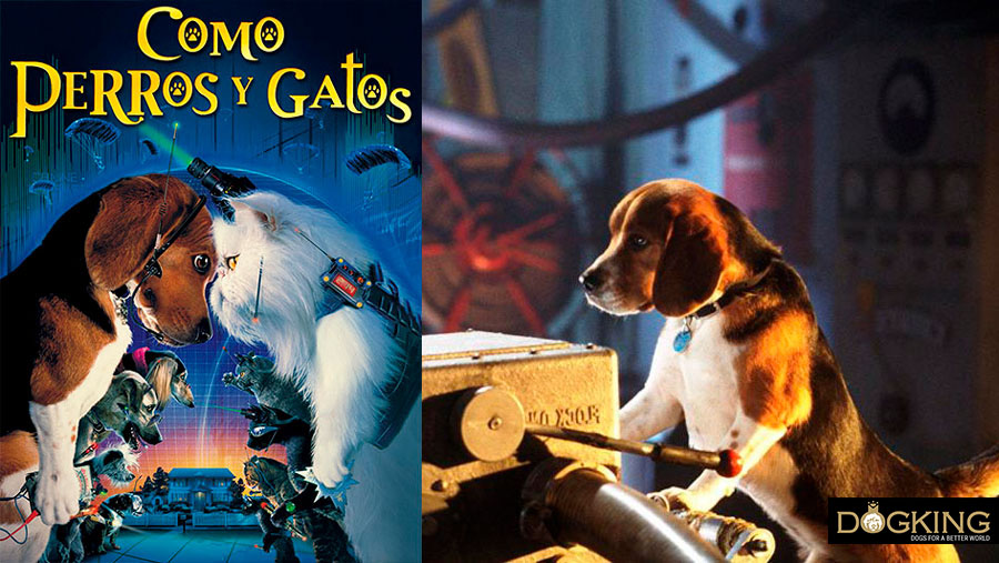Immagine di copertina e film di Cats & Dogs