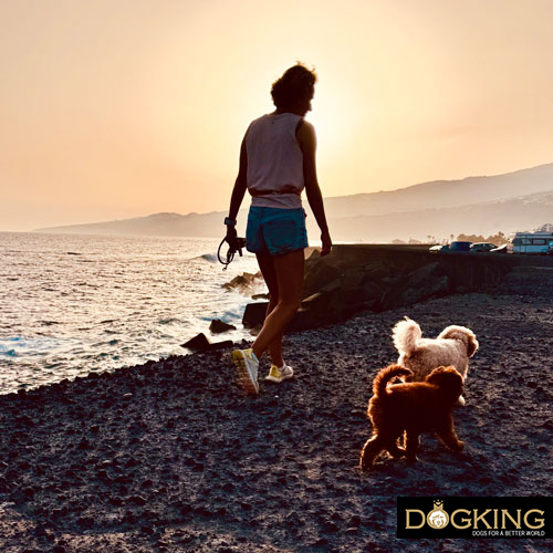Owner walking with her dog at sunset.
