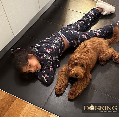 Mädchen mit ihrem Hund Mädchen im Pyjama liegt auf dem Boden neben ihrem braunen Hund.