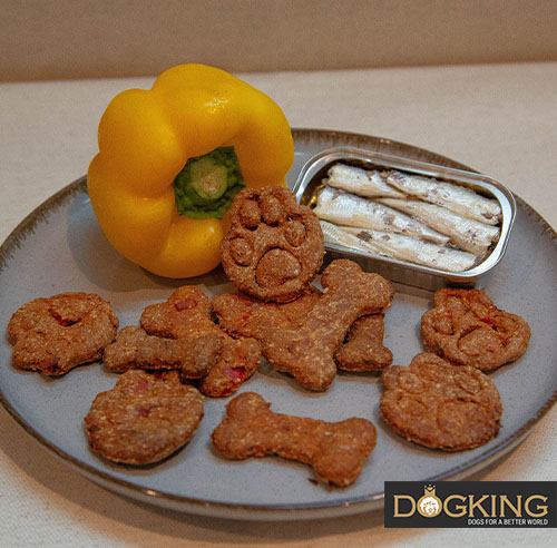 Silicone moulds with homemade dog treats.