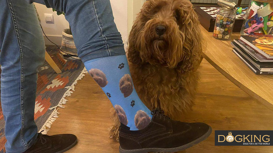 Funny socks with dog design.