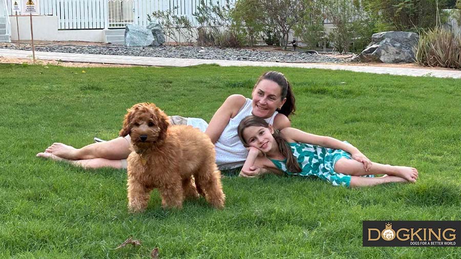 Diversión en familia Cobberdog jugando en el jardín junto a una niña y una mujer tumbadas en el césped.