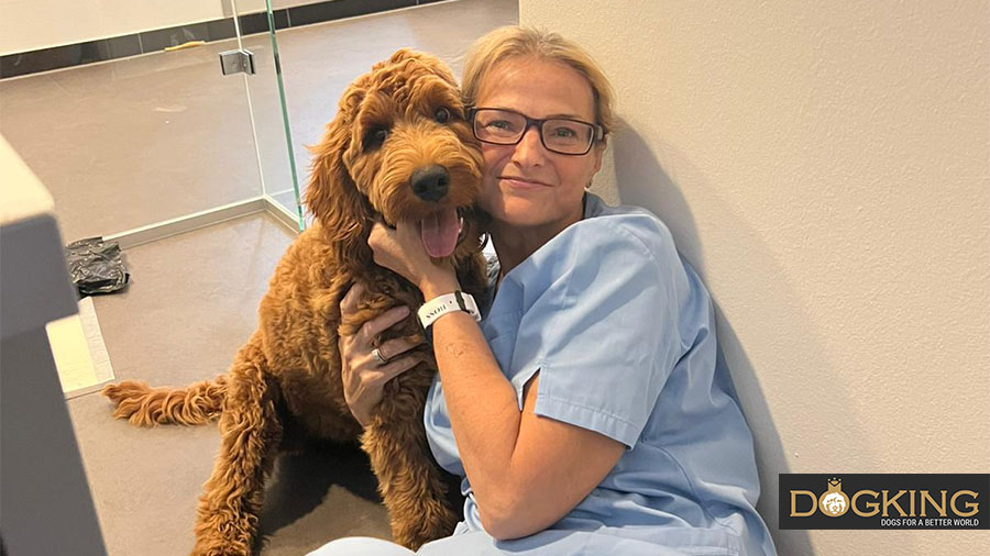 Hund erhält Zuneigung in der Tierklinik.