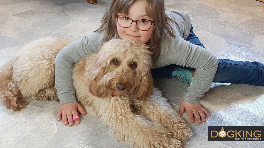 Dog lovingly accompanying its owner.