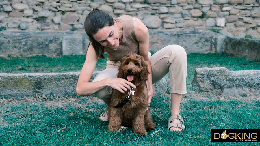 Person meeting puppy