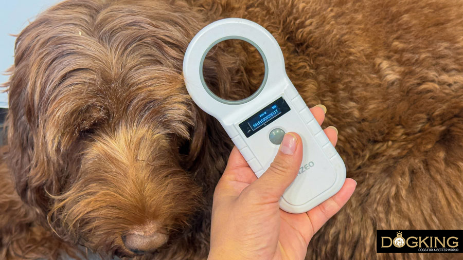 Dog microchip reader