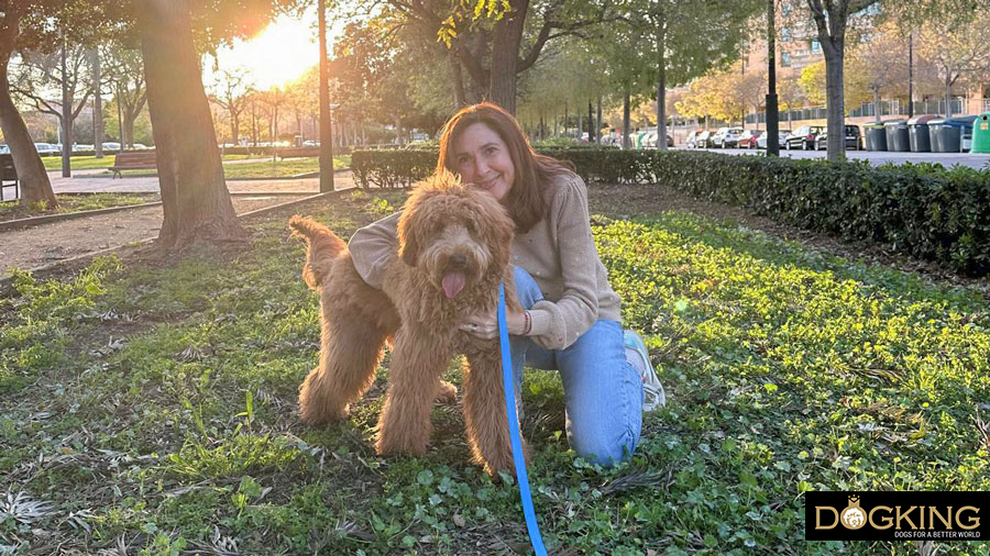 Dog having fun with its owner